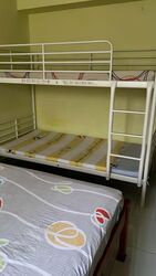 Blk 422 Hougang Avenue 6 (Hougang), HDB 5 Rooms #573974631